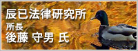 辰巳法律研究所